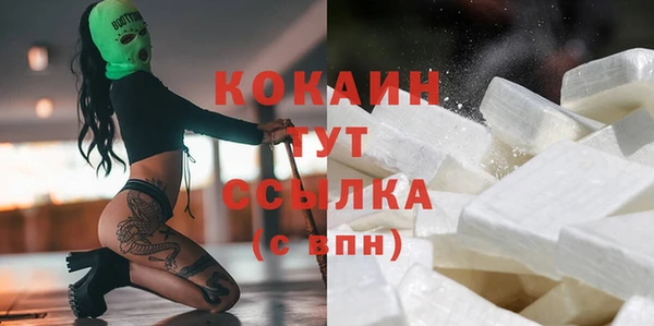 тгк Абинск