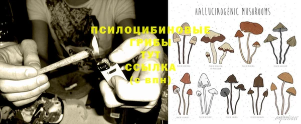 тгк Абинск